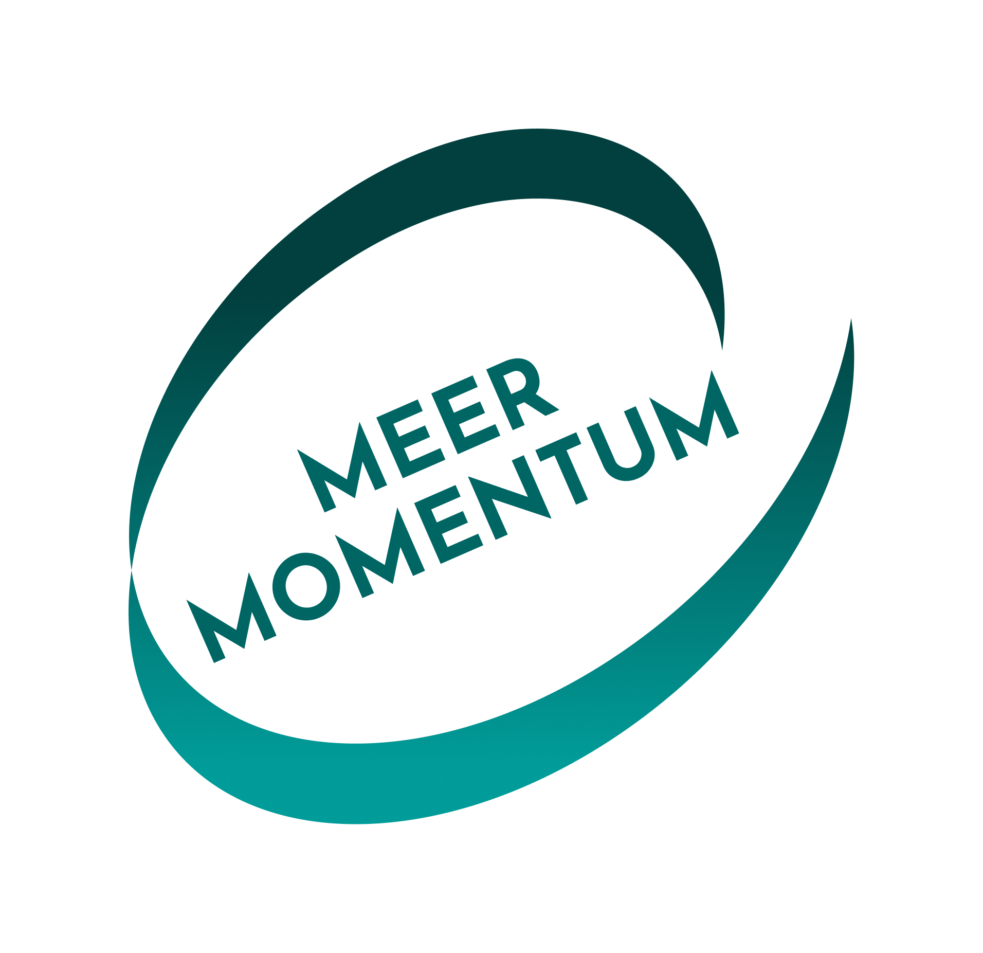 Meer Momentum